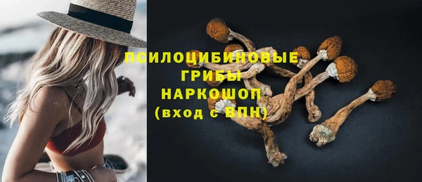 первитин Киреевск