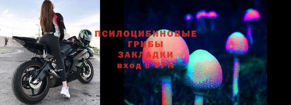 ALPHA-PVP Кинешма
