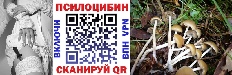 Псилоцибиновые грибы Magic Shrooms  Купить  Куровское 